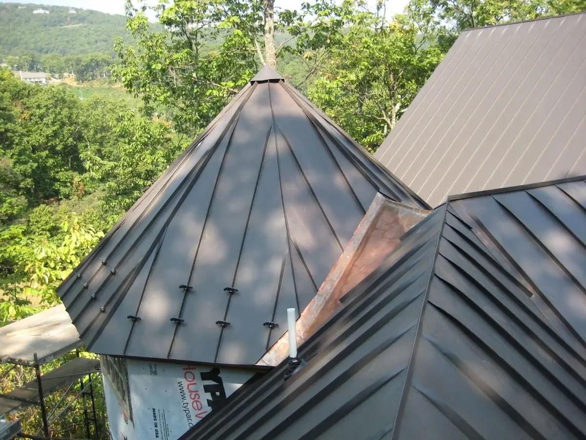 Professional Gutter Cleaning by Craftsman Roofing in Birdcage Heights